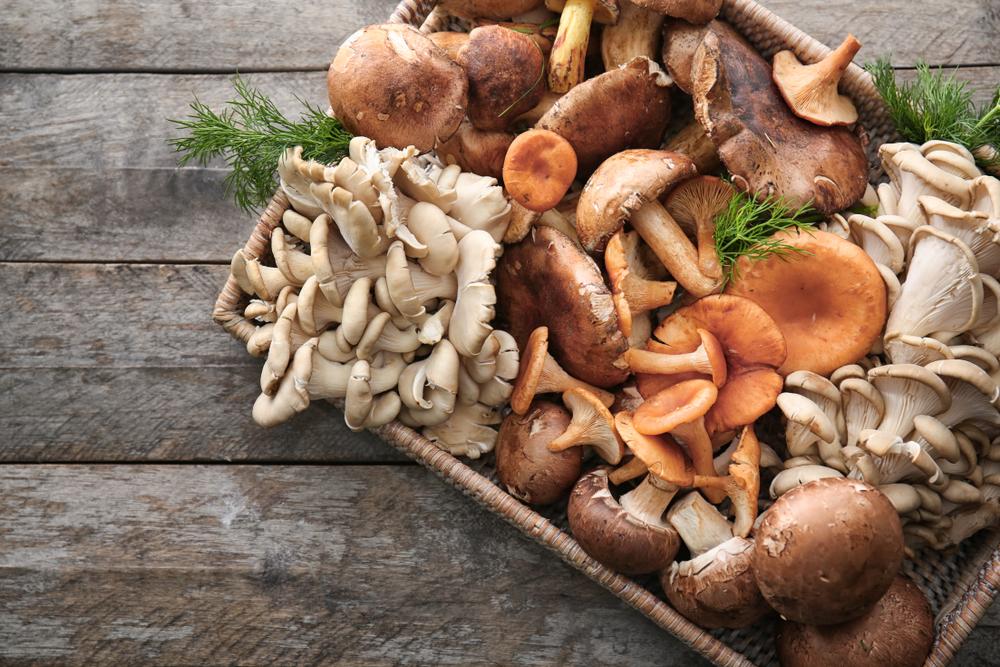 Can You Eat Mushrooms While Breastfeeding? We Take A Closer Look